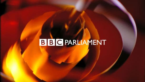 BBC Annual Report Committee