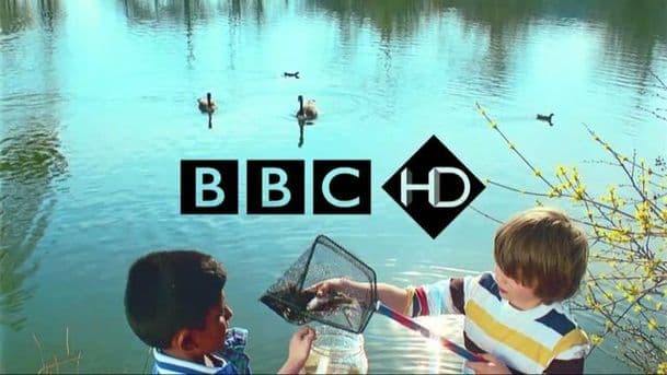 How We Built Britain
